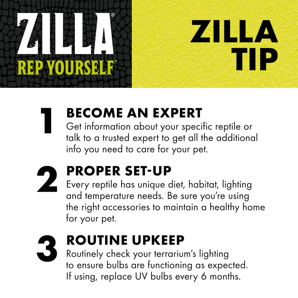 Zilla Fresh Air Screen Cover on 33L tank in-use air flow and security