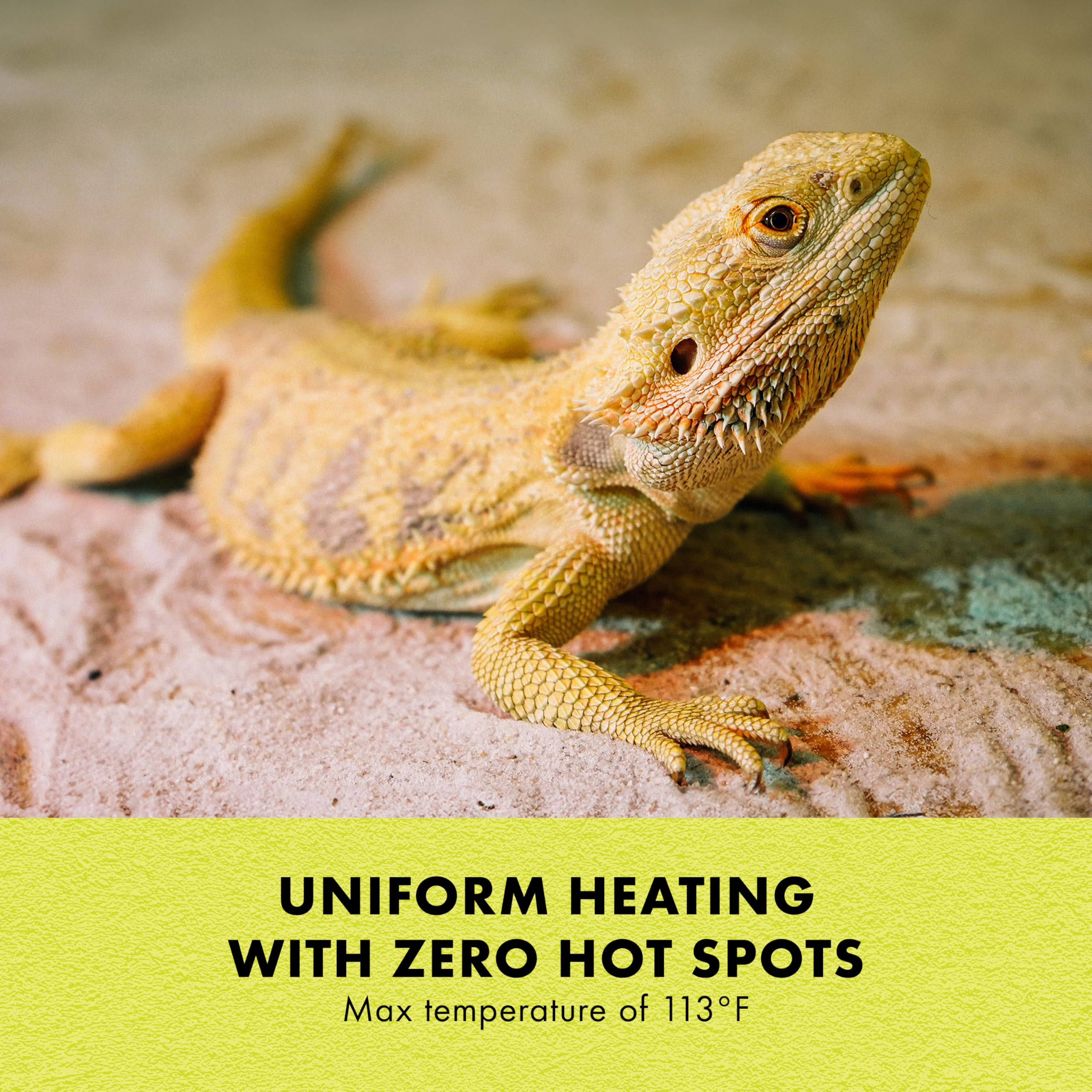 Zilla Heat Mat carbon fiber technology ensures durable, efficient heating
