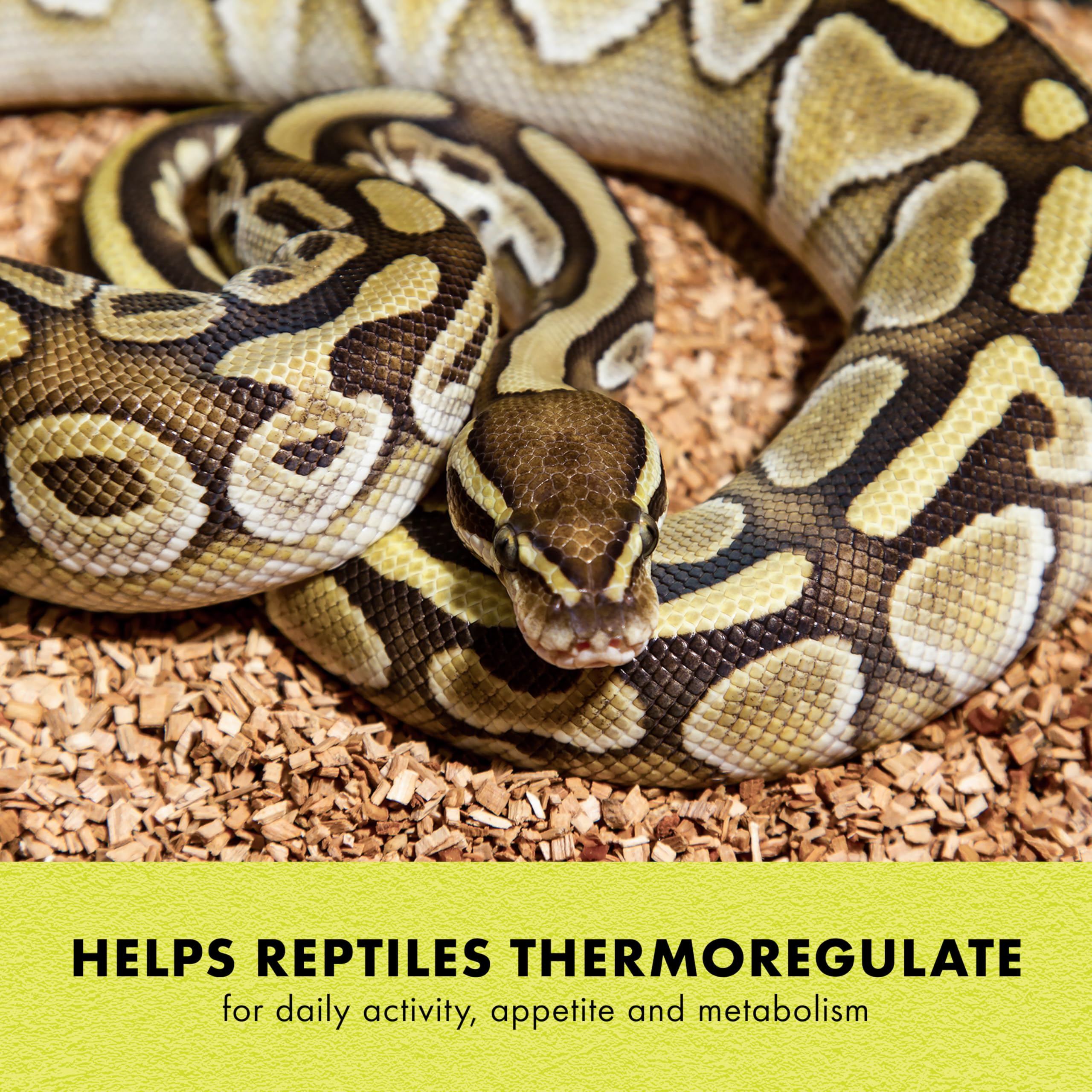Zilla Heat Mat self-regulating 113F feature helps prevent overheating