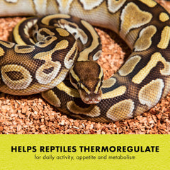 Zilla Heat Mat self-regulating 113F feature helps prevent overheating