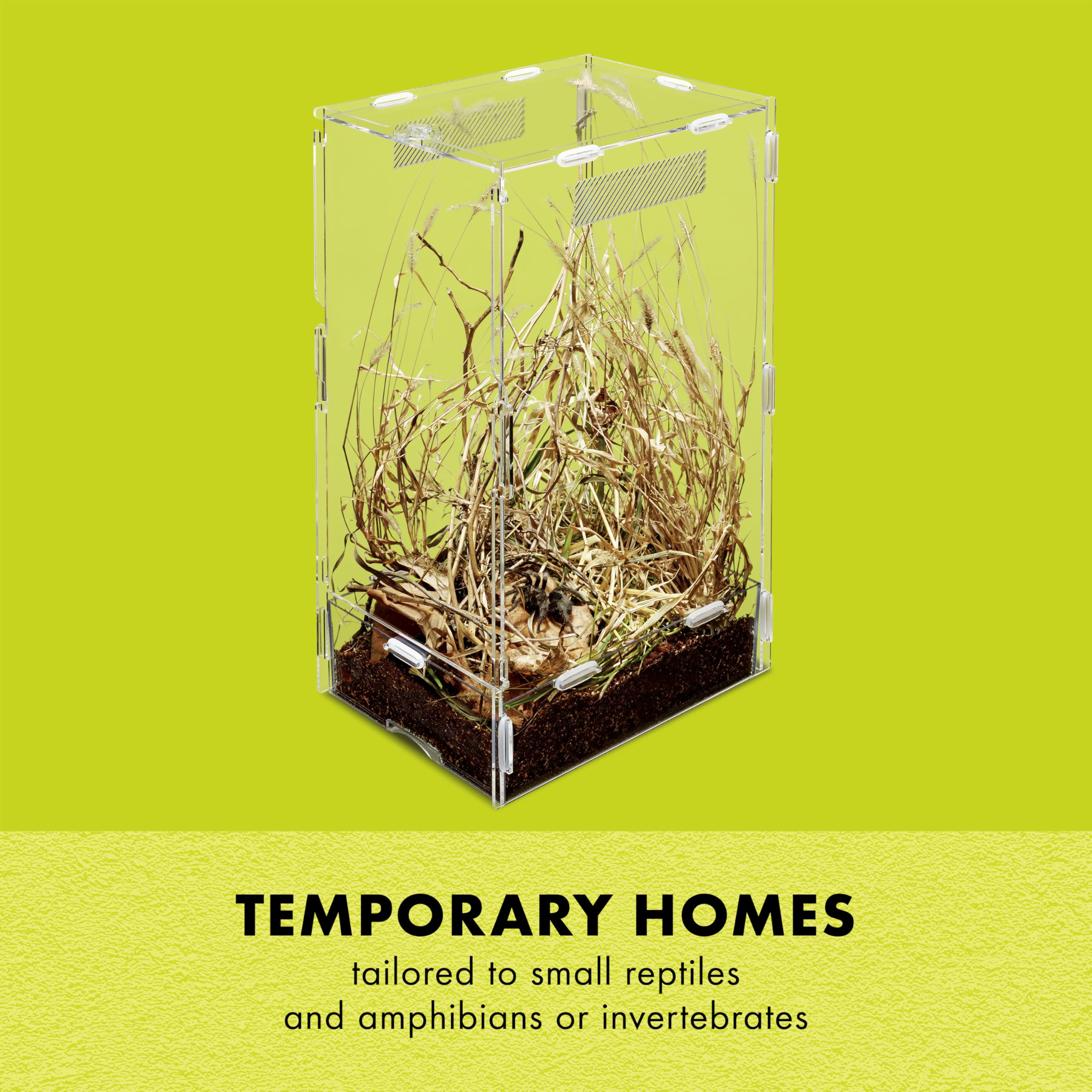 Zilla Micro Habitat clear walls maximizing visibility of arboreal residents