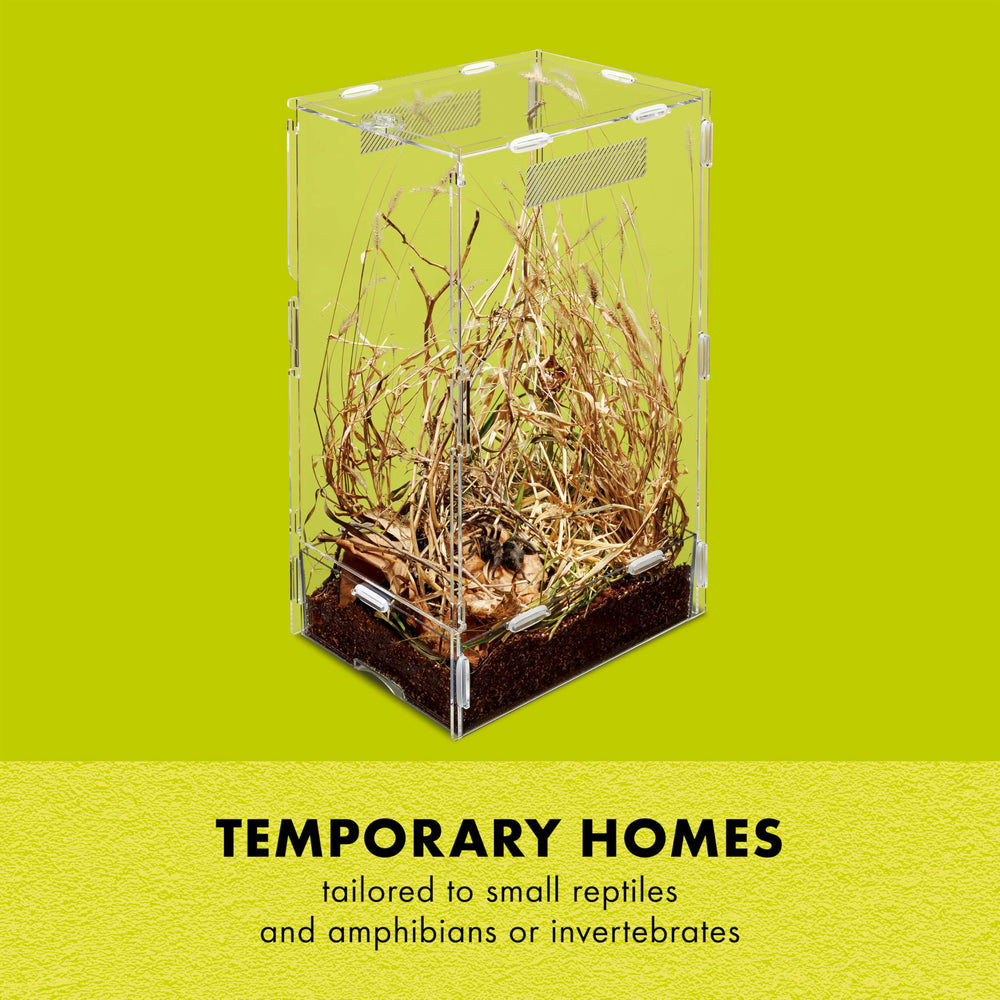Zilla Micro Habitat clear walls maximizing visibility of arboreal residents