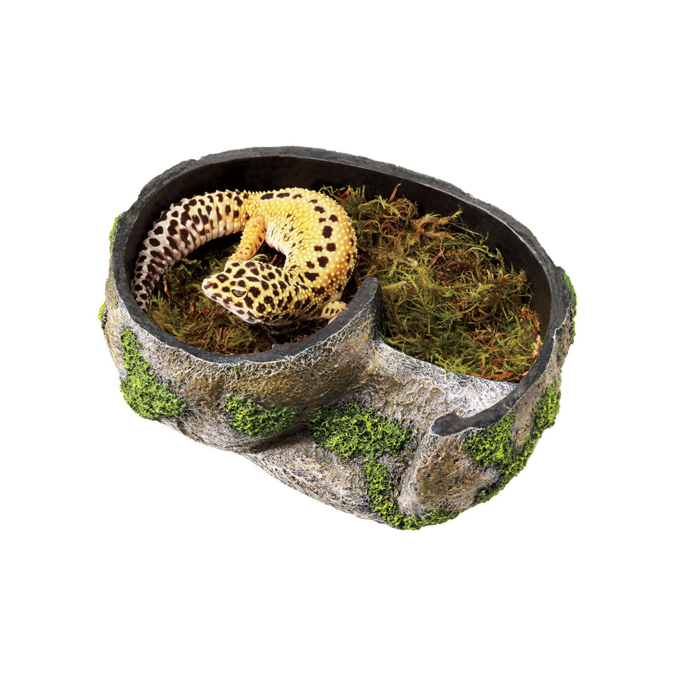 Zilla Rock Lair entrance-side demonstrates easy access and cozy retreat for reptiles