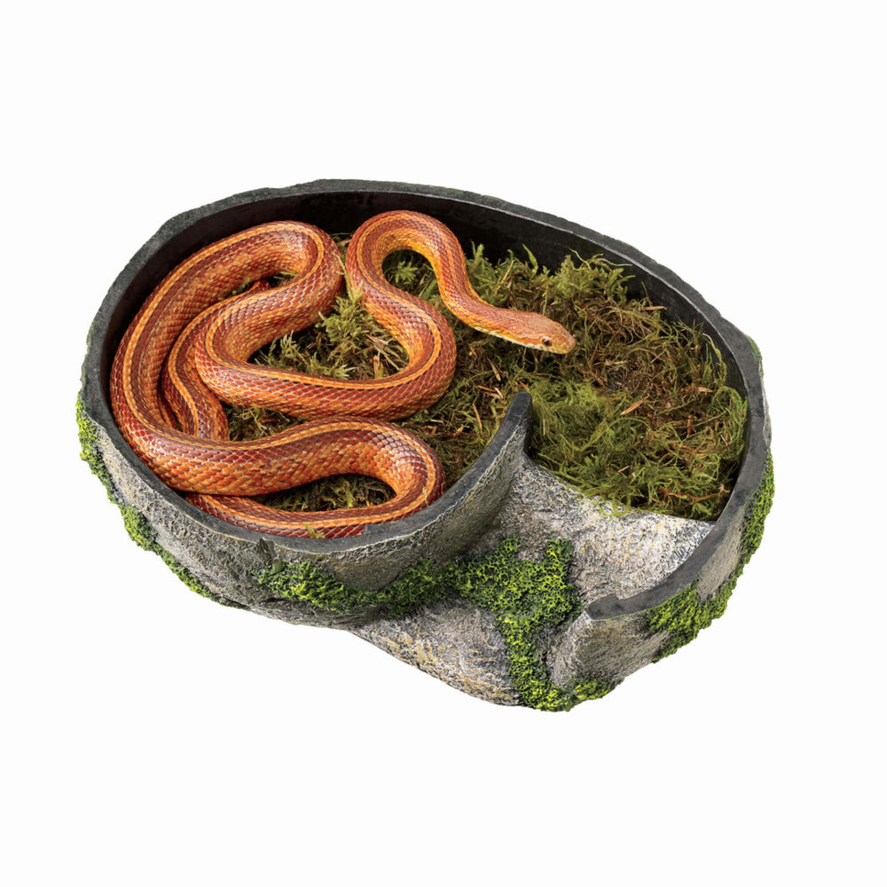 Zilla Rock Lair outer texture provides shedding-friendly surface and rugged realism
