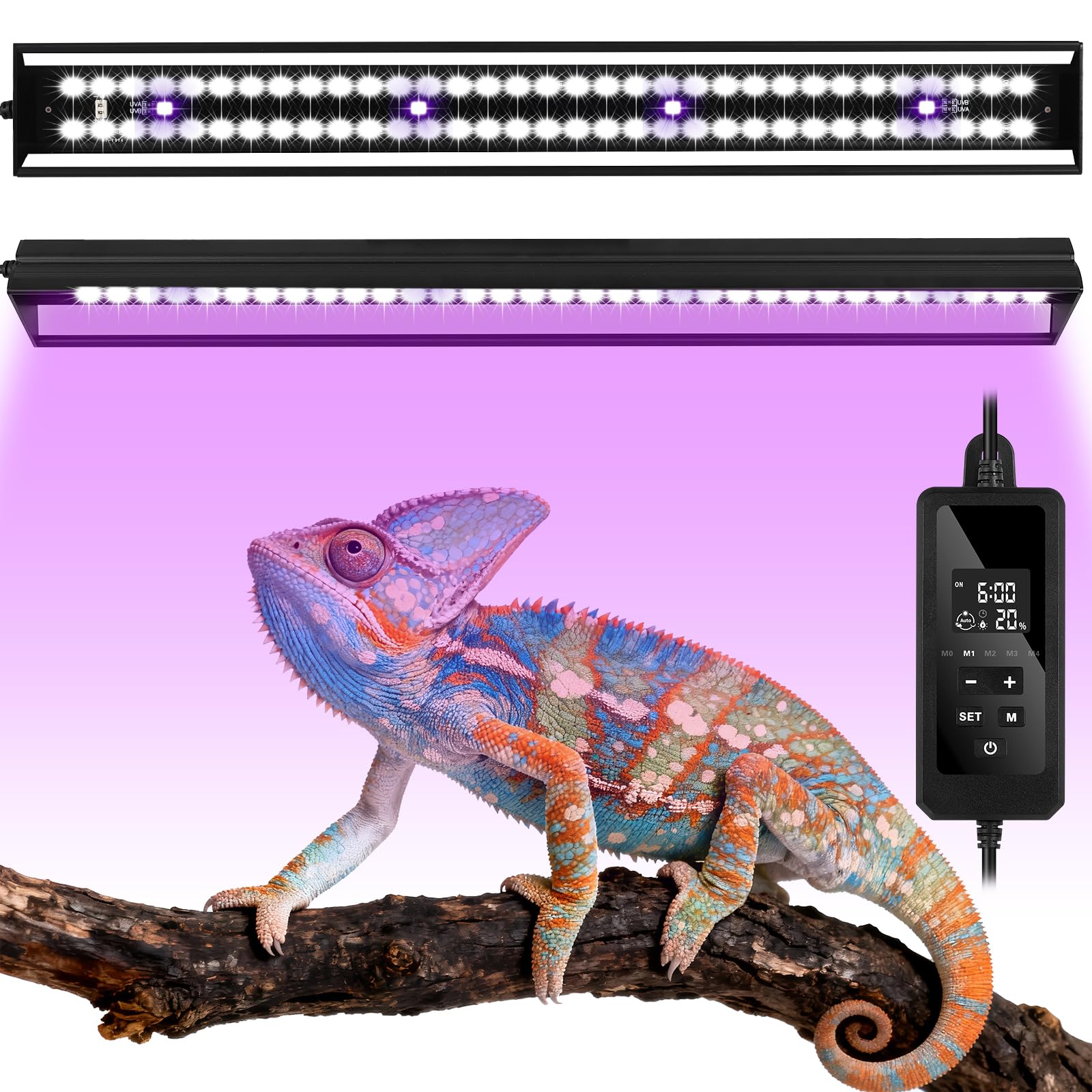 Zingbabu UVB light modes demonstrate four presets for reptile lighting.