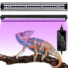 Zingbabu UVB light modes demonstrate four presets for reptile lighting.