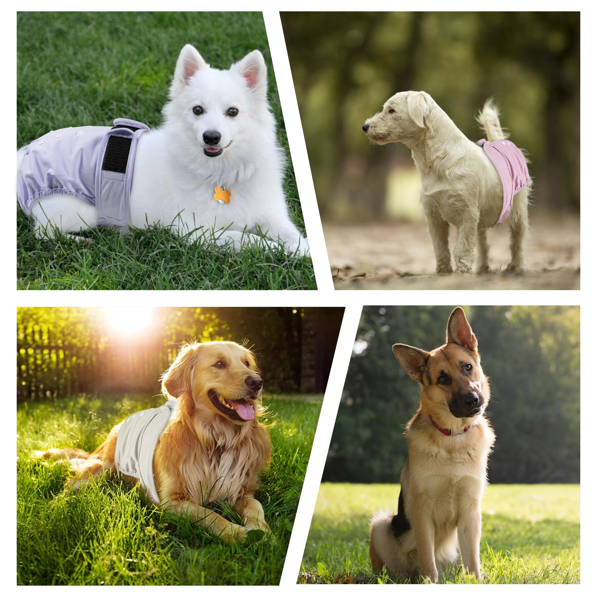 ZINGTERRA dog diapers adjustable closure with hook-and-loop for a secure fit.