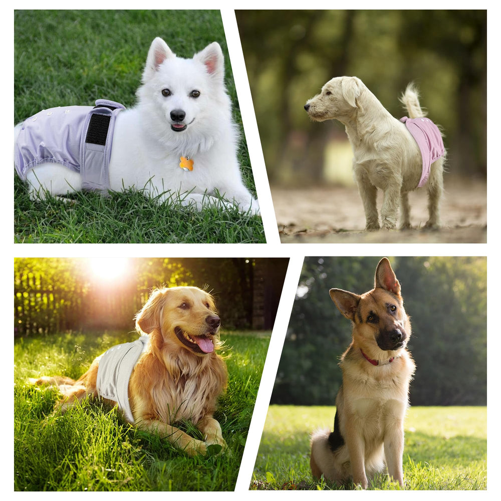 ZINGTERRA dog diapers adjustable closure with hook-and-loop for a secure fit.