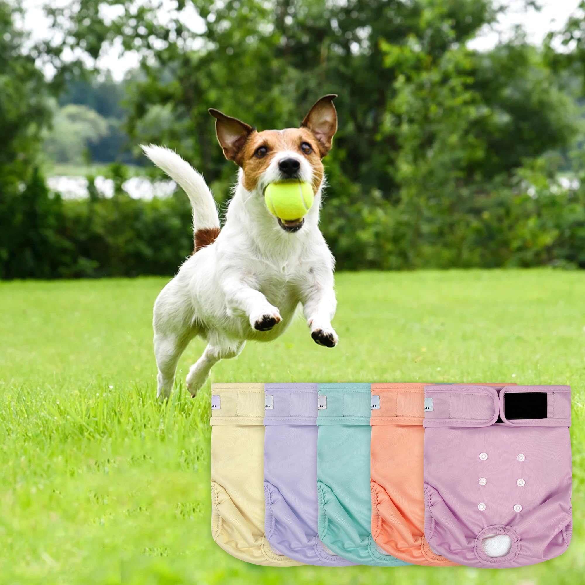 ZINGTERRA dog diapers with sewn-in absorbent pad for leak containment.