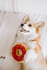 ZippyPaws Americana Jumbo Donutz in summer colors for eye-catching play.
