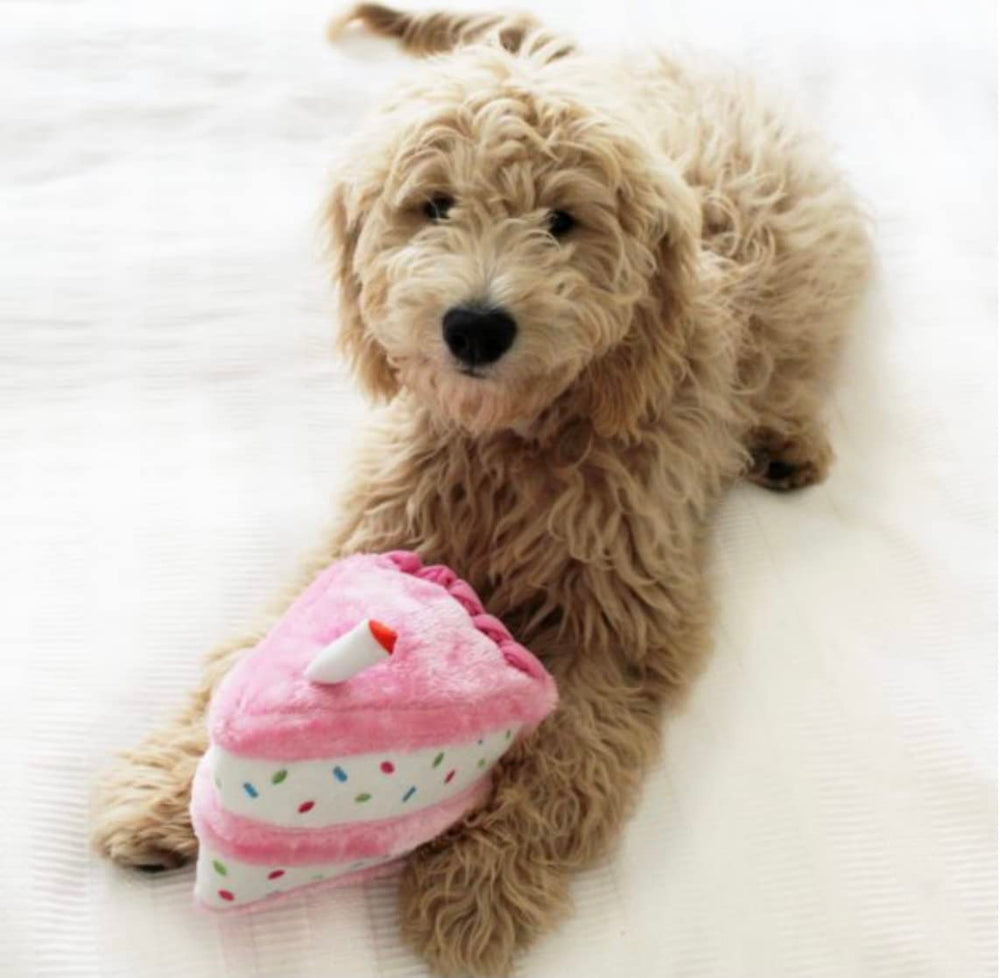 ZippyPaws Birthday Box balloon toy for dogs, adds squeaky fun to festive playtime.