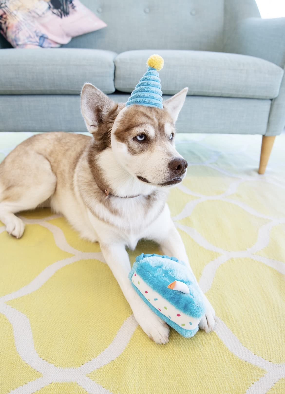 ZippyPaws Birthday Box plush snuggle set for cozy evenings