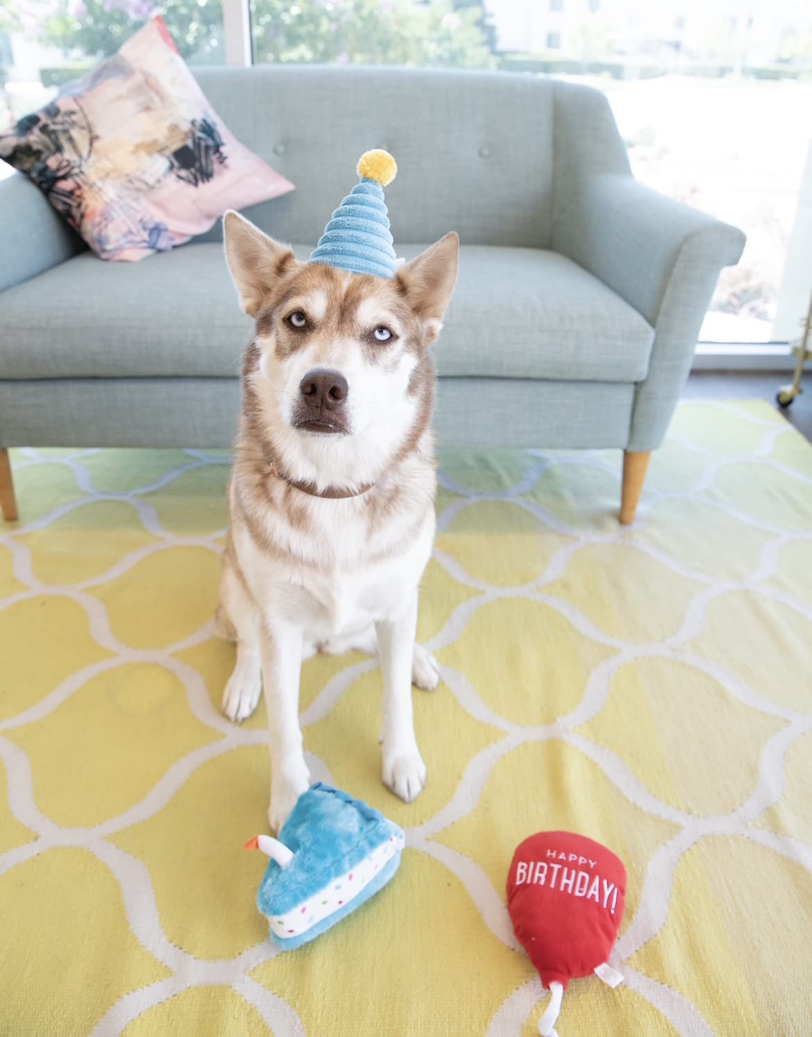 ZippyPaws Birthday Box squeaky balloon toy boosts interactive fun