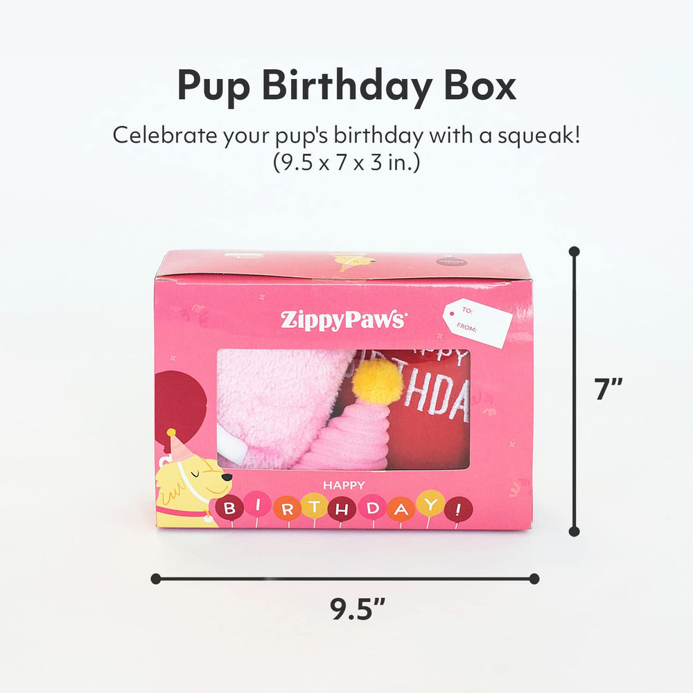 ZippyPaws Birthday Box wearable hat toy, cute outfit photos and doggy smiles.