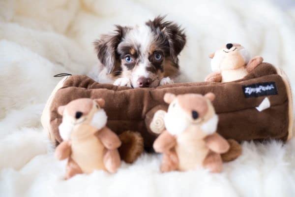 ZippyPaws Burrow Chipmunk Log machine-washable for easy cleaning after play.