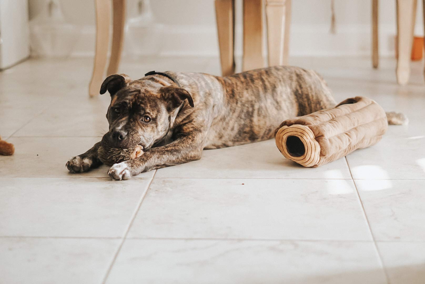 ZippyPaws Burrow Chipmunk Log ideal for small and medium dogs during puzzles.