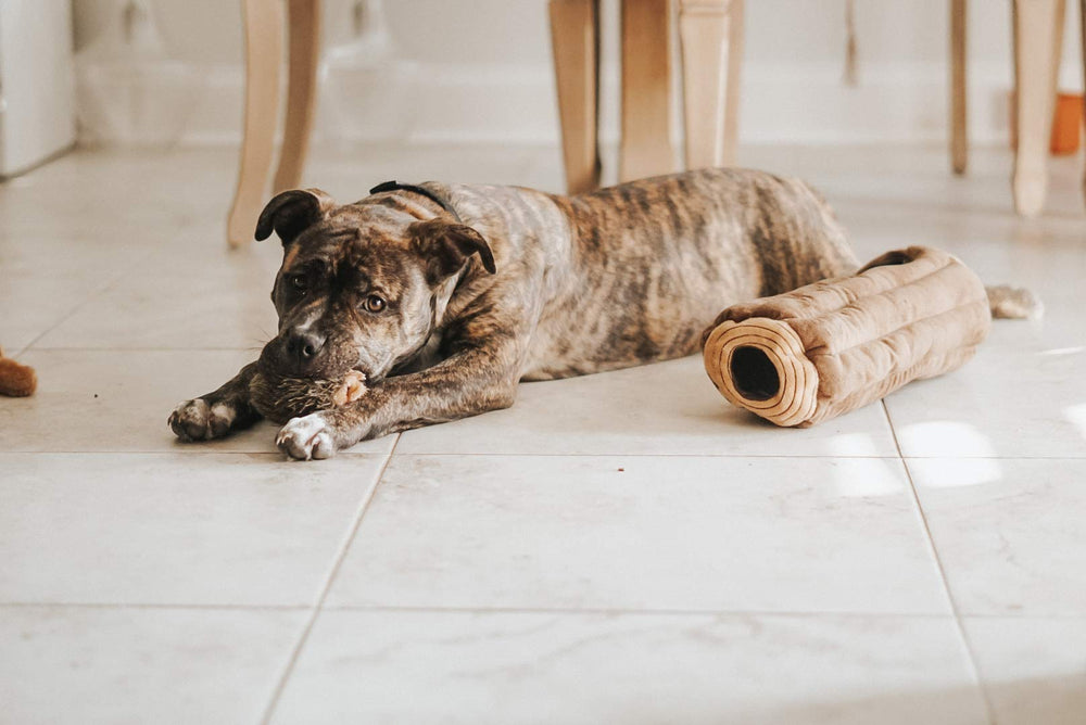 ZippyPaws Burrow Chipmunk Log ideal for small and medium dogs during puzzles.