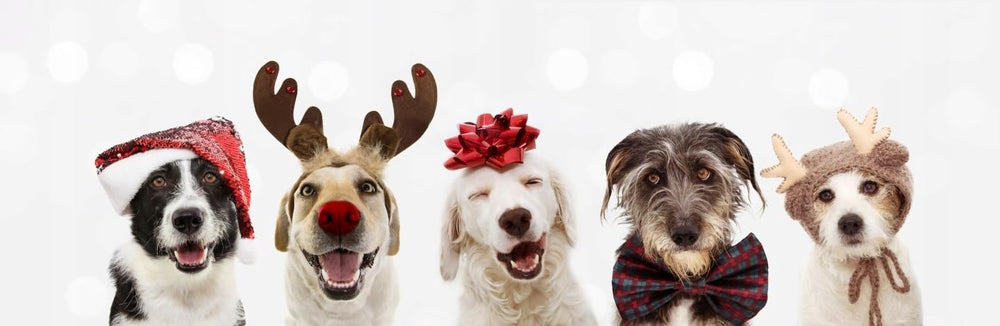 ZippyPaws Burrow Christmas Toy dig-for-Santa scene invites stimulating puzzle challenges for dogs