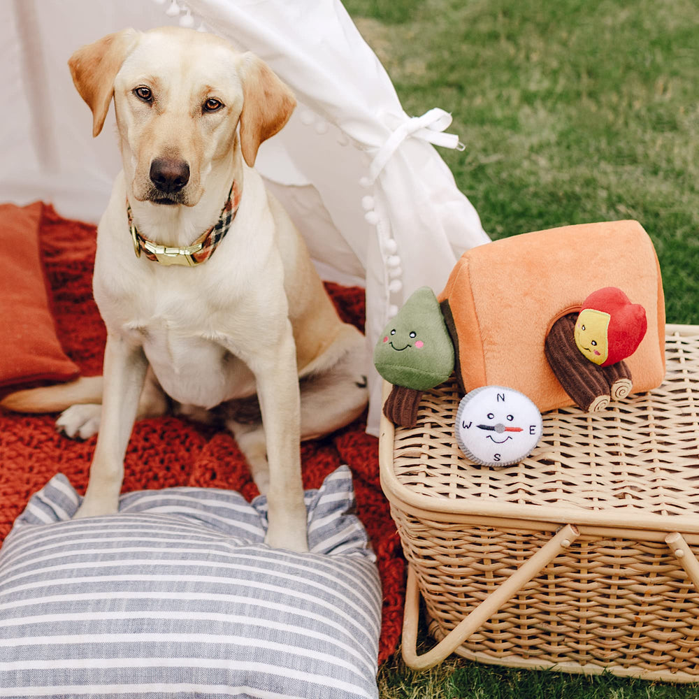 ZippyPaws Burrow Wilderness camping tent squeaky Miniz adds irresistible noise for enrichment.