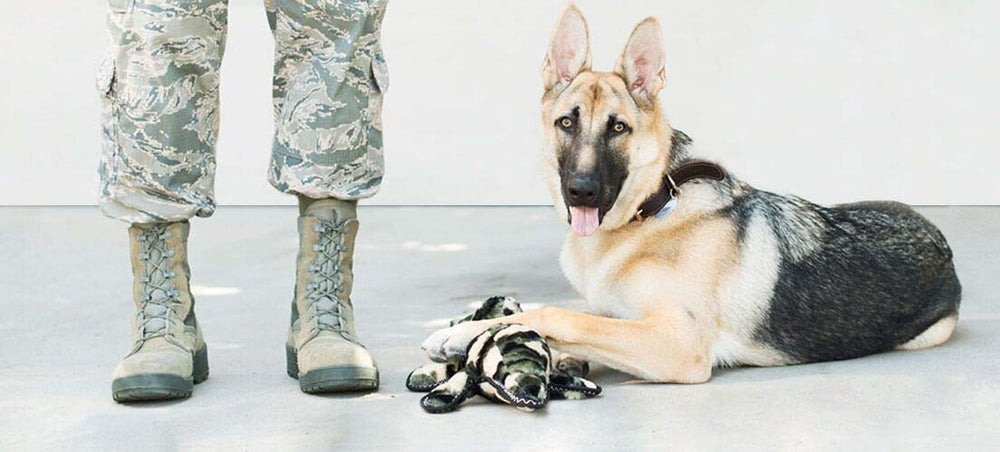 ZippyPaws Camron safe-cuddly-dog-toy offers cozy snuggle and light chewing moments.