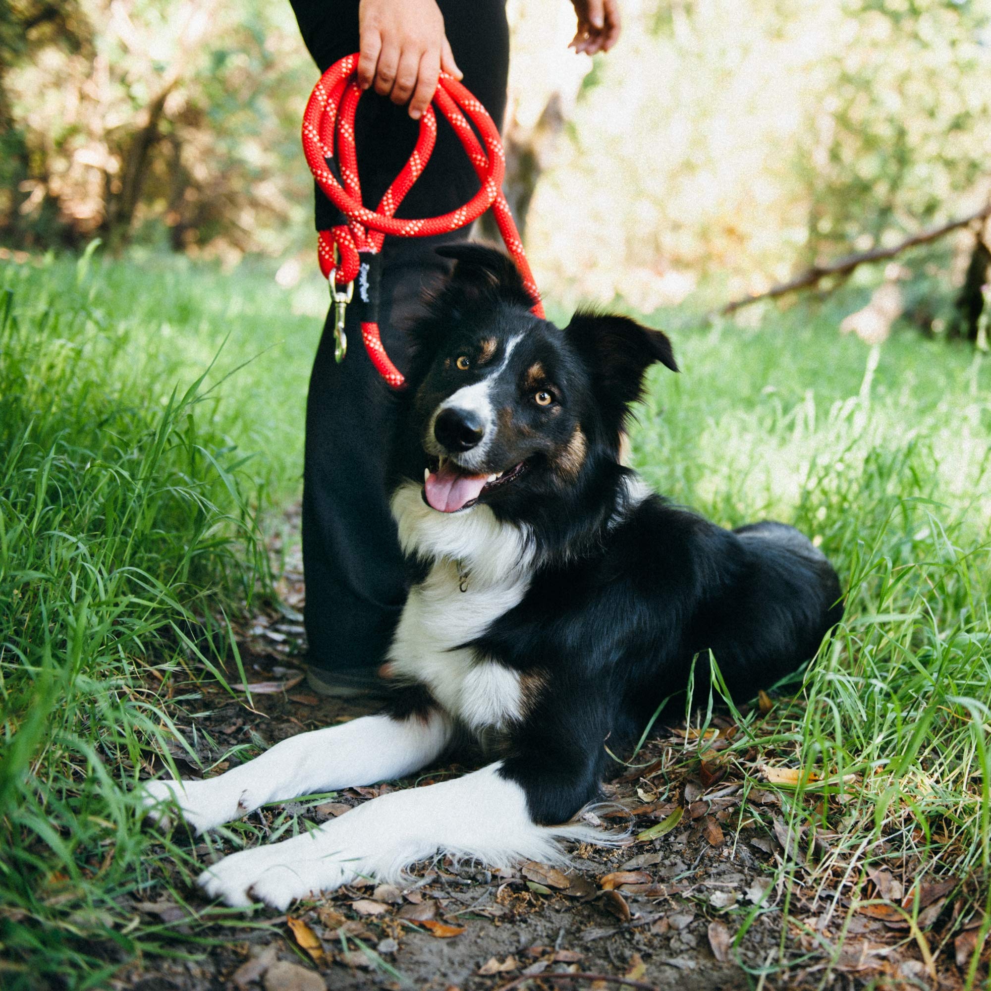 ZippyPaws Climbers detalle de la cuerda tejida, mayor durabilidad.