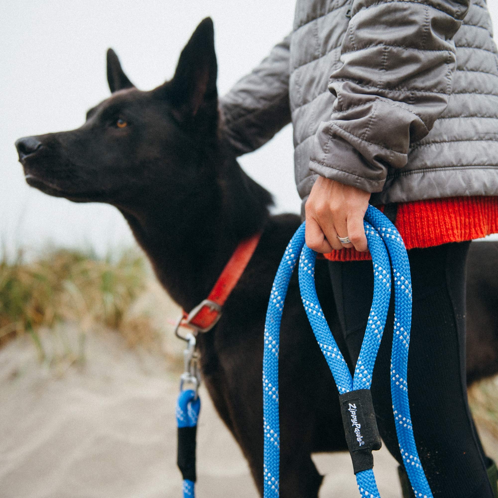 ZippyPaws Climbers ideal para paseos con perros grandes en espacios abiertos.
