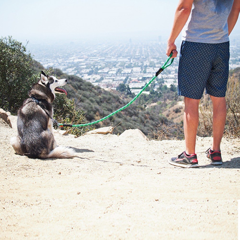 ZippyPaws Climbers Rope Leash withstands heavy pulls for active daily adventures