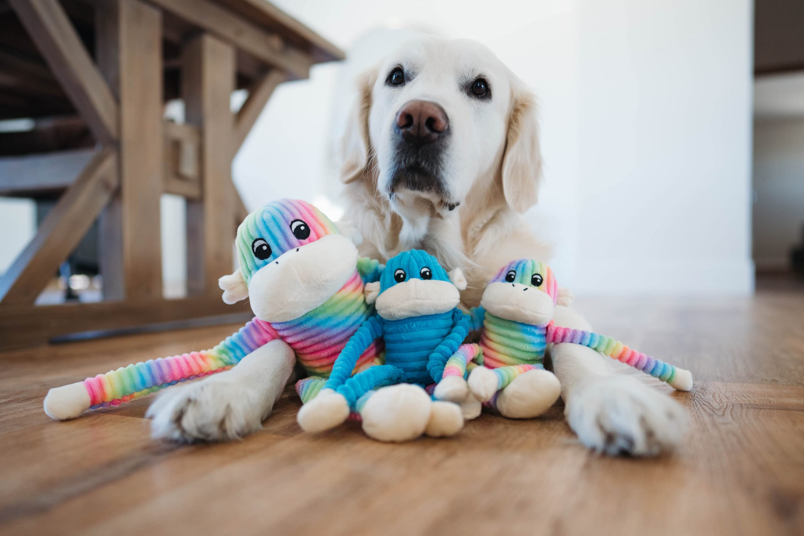 ZippyPaws Crinkle Monkey rainbow color highlights vibrant, engaging play for dogs.