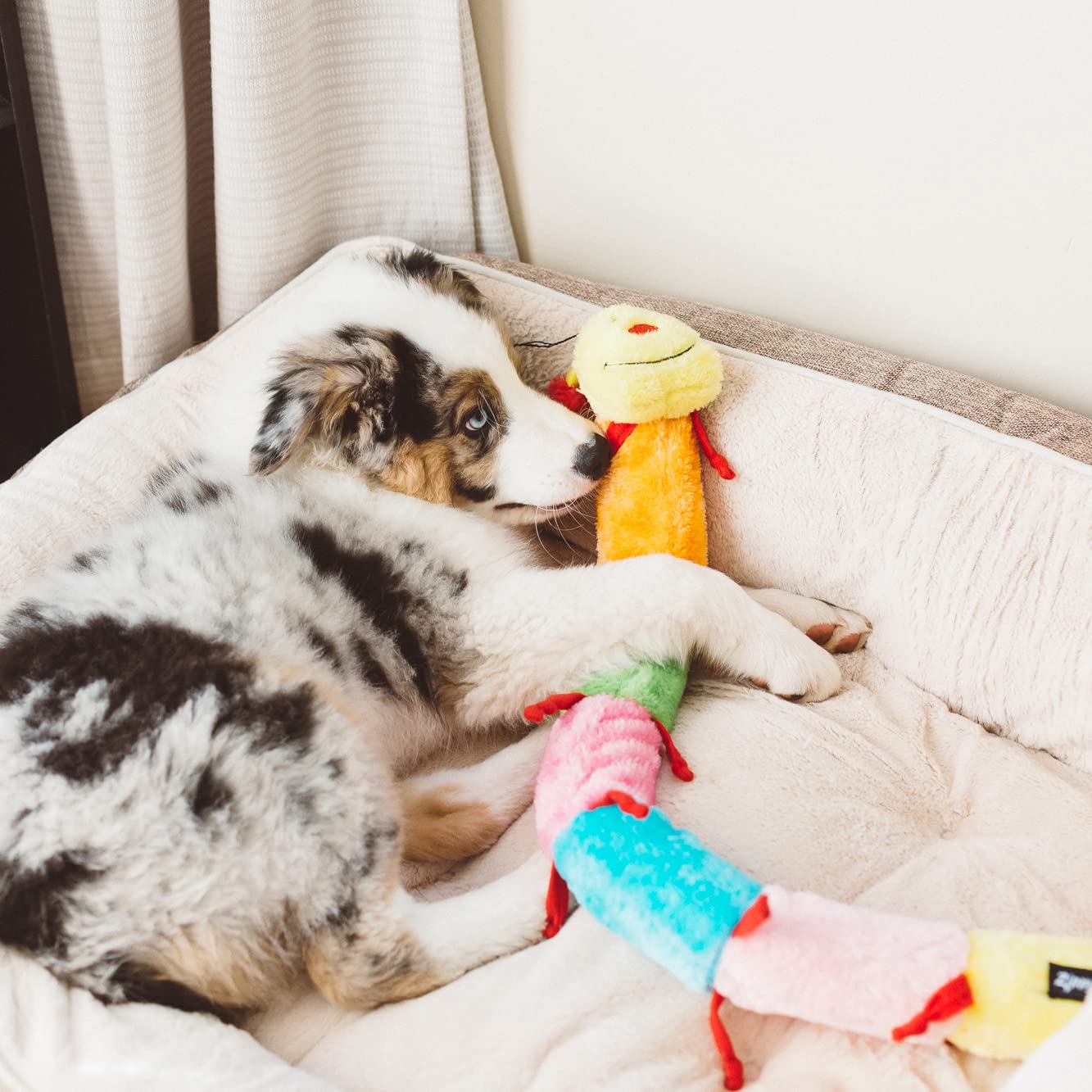 ZippyPaws Deluxe Caterpillar long form shows extended length for interactive tug games.