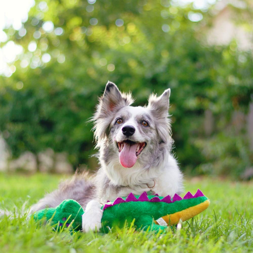 ZippyPaws Emojiz embroidery detail—fun emoji-inspired design invites interaction
