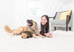 ZippyPaws erizo juguete interactivo para juego dinámico con tu mascota