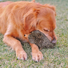 ZippyPaws erizo peluche adorable para mimos y juego suave