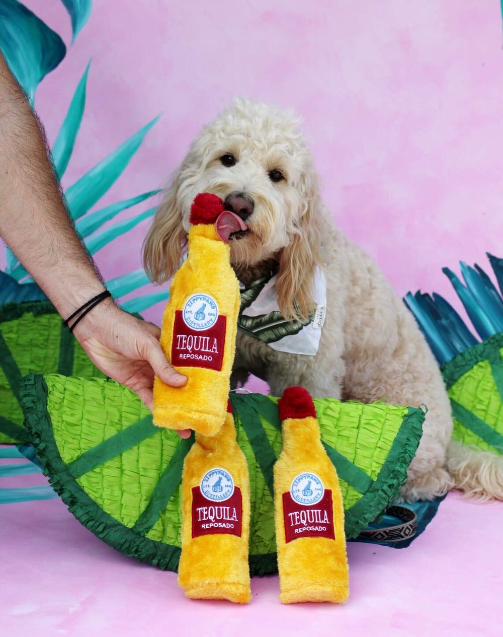 ZippyPaws Happy Hour Crusherz stuffing-free design reduces mess during playtime