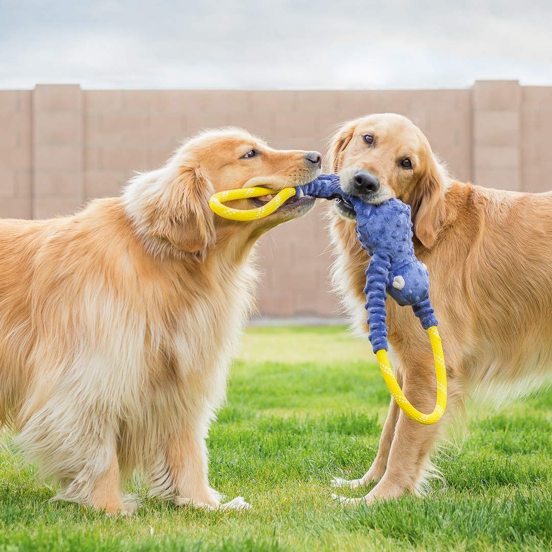 ZippyPaws heavy-duty climbing rope image shows rugged construction for powerful chewers.