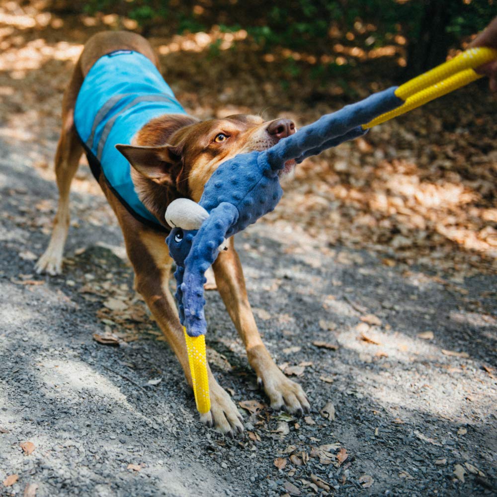 ZippyPaws RopeTugz interactive tug-war setup demonstrates engaging play for dogs of all sizes.