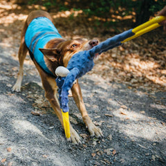 ZippyPaws RopeTugz interactive tug-war setup demonstrates engaging play for dogs of all sizes.
