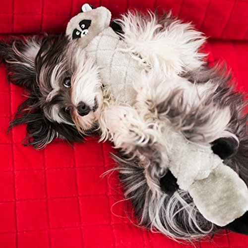 ZippyPaws Jigglerz Raccoon Toy nestled beside a cozy bed.
