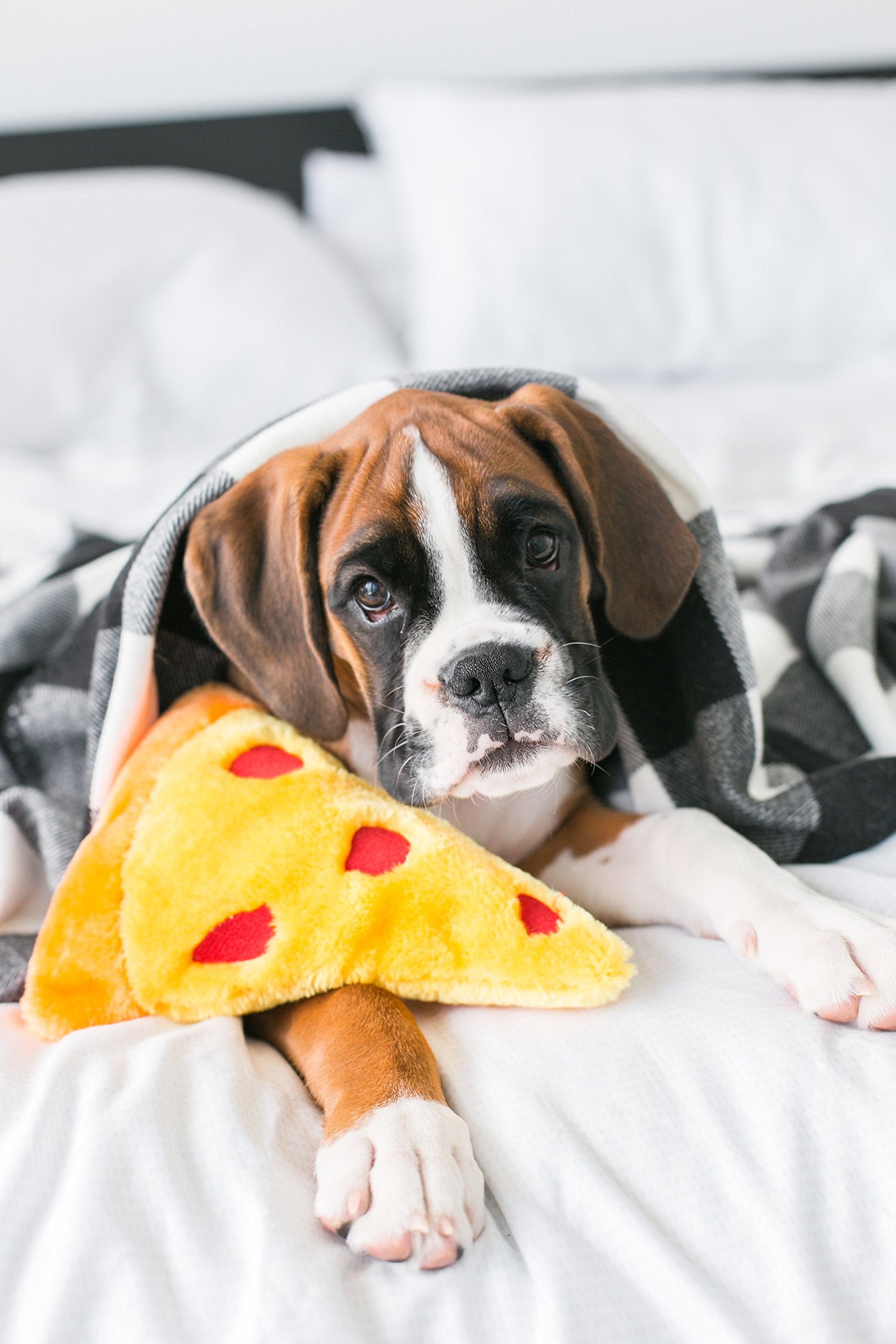 ZippyPaws NomNomz pizza toy safe and cuddly for dogs.