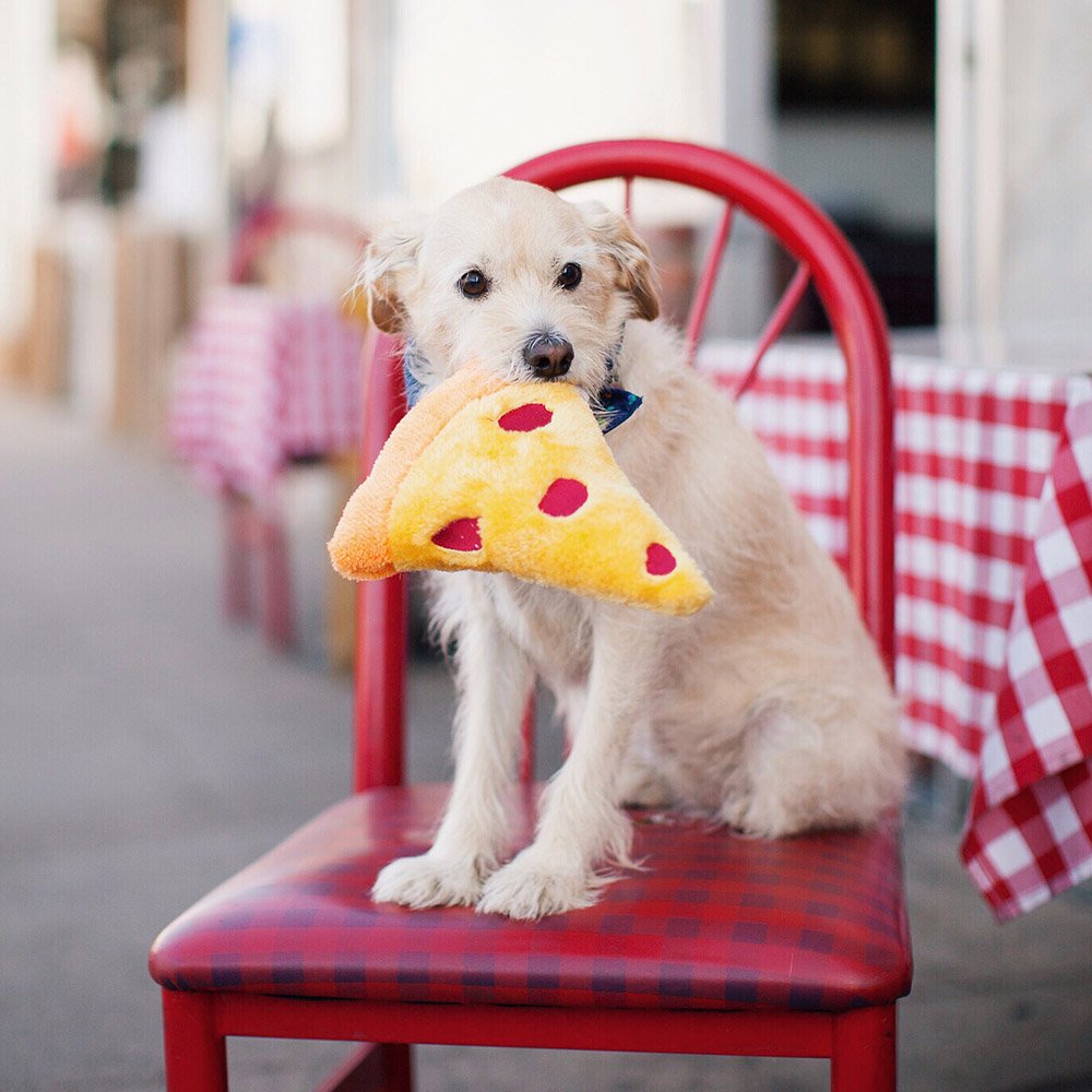 ZippyPaws NomNomz pizza toy two squeakers for extended entertainment.