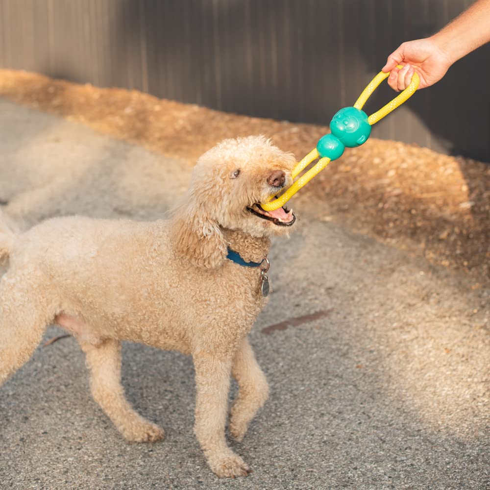 ZippyPaws RopeTugz Teal dog chew toy suitable for tug sessions.