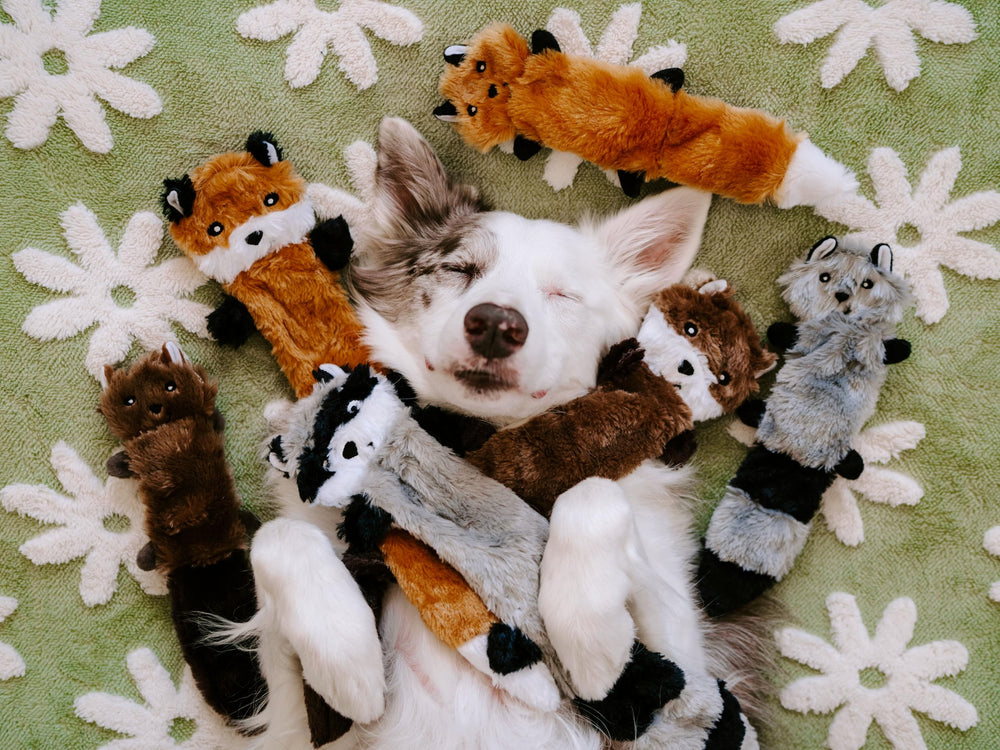 Juguete sin relleno ZippyPaws Skinny Peltz con Mapache para morder