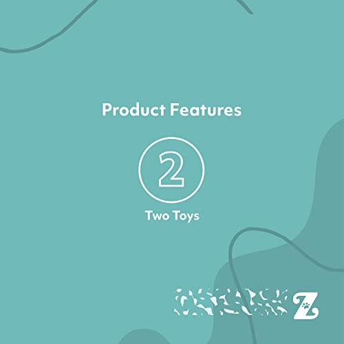 ZippyPaws Squeakie Pad Flat Design – lightweight, flat toy ideal for tossing and fetch.