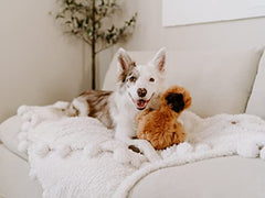 ZippyPaws Wooliez dog plush toy fetch-focused shot highlighting durability for active dogs.
