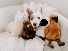 ZippyPaws Wooliez dog plush toy for fetch and snuggle sessions