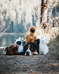 ZippyPaws Wooliez Larry the Llama squeaker closeup for engaging interactive play