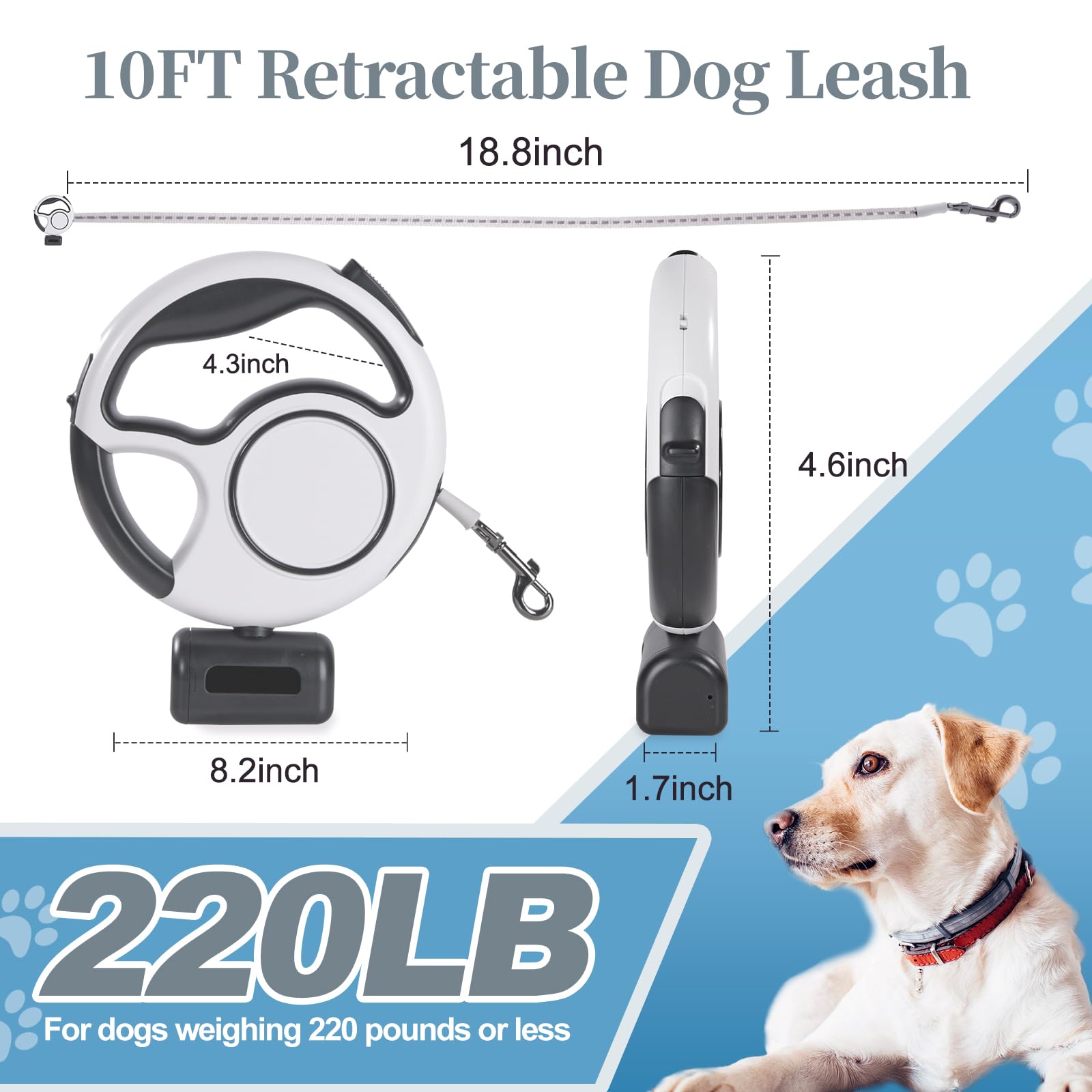 Zividodo leash LED light in use for safer night strolls
