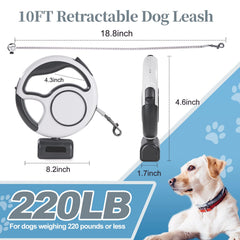 Zividodo leash LED light in use for safer night strolls