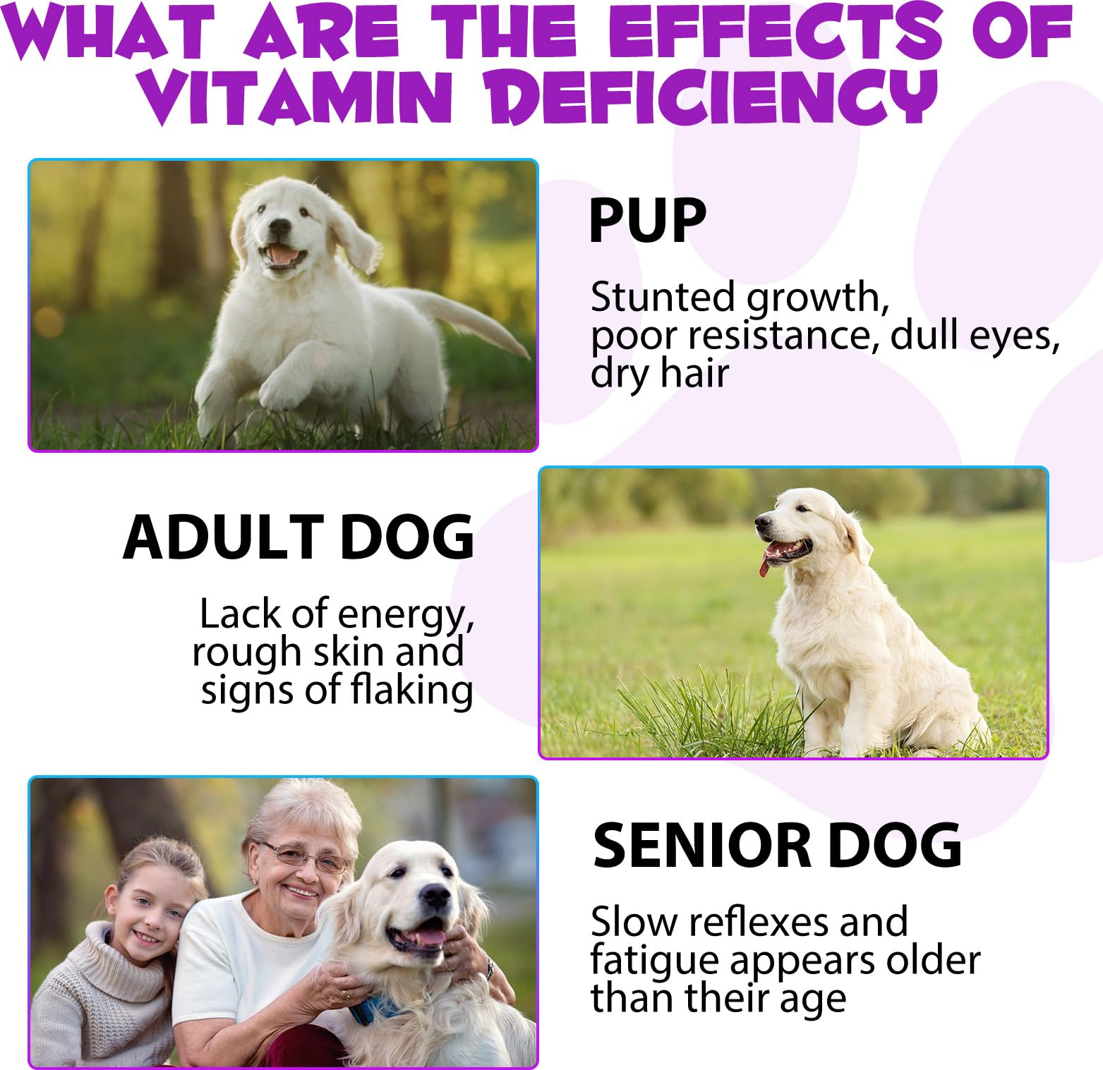ZIXAOK ingredients highlight glucosamine and MSM for joint comfort