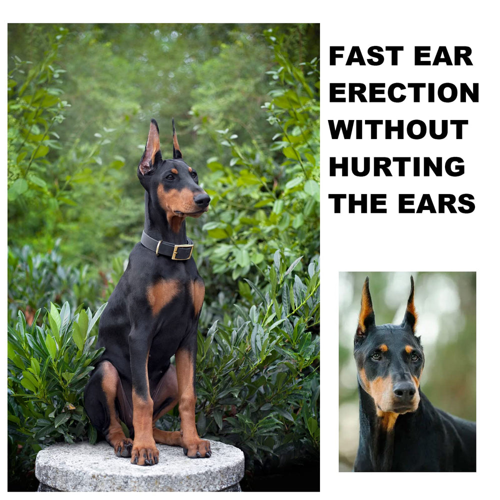 Ziyue Doberman ear gauze rolls ready for securing wraps