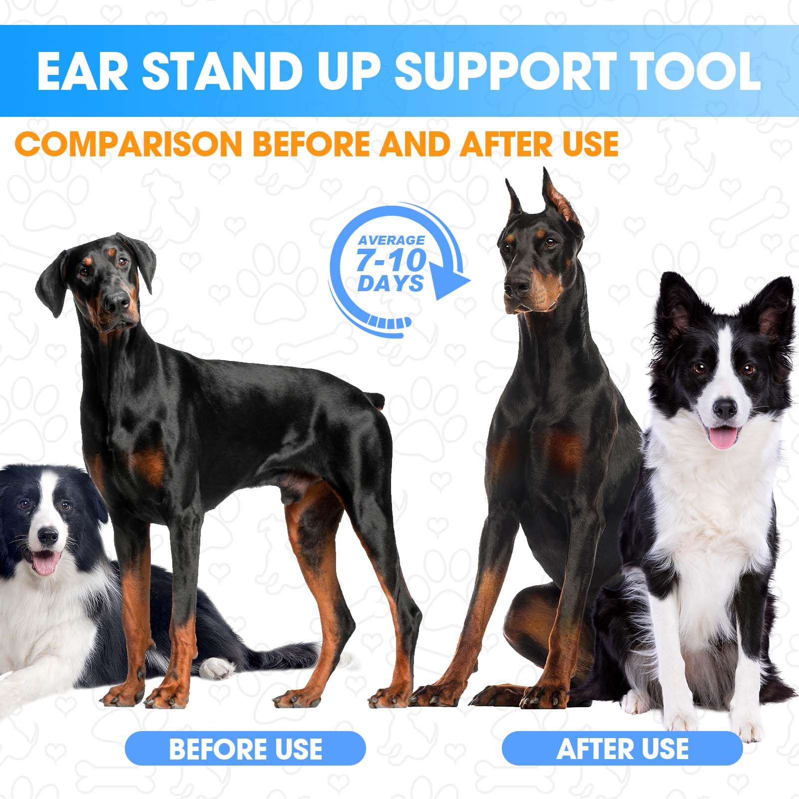 Ziyue doberman ear-posting kit usage-timeline illustrates multi-cycle care guidance